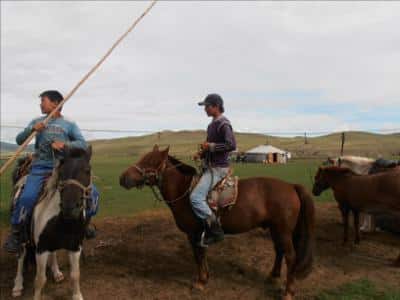 Mongols à Cheval