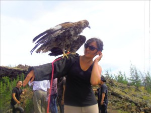 Aigle de Mongolie avec Elisa